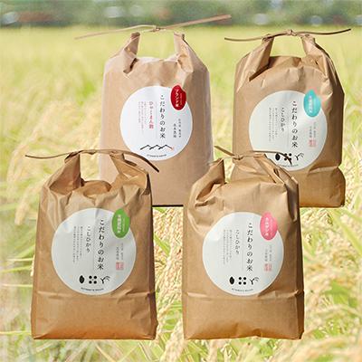 ふるさと納税 能美市 【毎月定期便】石川県産4種のお米食べ比べ定期便　10kg×4ヶ月連続全4回