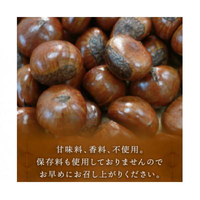 ふるさと納税 八幡市 新栗 天津甘栗 容量 700g 京都 完熟 殻付き |  | 02