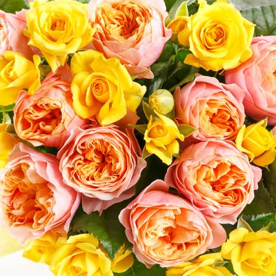 ふるさと納税 静岡市 バラの花束　ミックス 20本 |  | 01