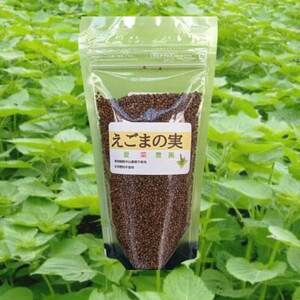 ≪110g×5≫　国産えごまの実　パックチャック(ジッパー)付き　大阪産(もん)認定品【1696356】
