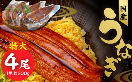 国産うなぎ蒲焼 200g×4尾_うなぎ 蒲焼 約200g × 4尾 計約800g 特大 独自 秘伝のタレ 山椒 付き 冷凍 うな丼 うな重 ひつまぶし お土産 ギフト 贈り物 国産 食品 食べ物 福岡県 久留米市 お取り寄せ お取り寄せグルメ 送料無料_Cu024_RCF0600