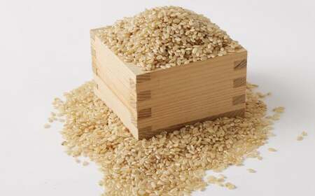 津留いちご園のお米 玄米 農薬・化学肥料不使用（栽培期間中） 5kg 【2025年11月上旬から2026年10月下旬順次発送予定】 米 お米 ご飯 九州 福岡