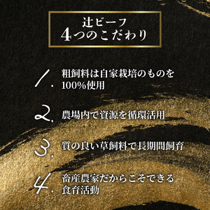【先行予約】 辻ビーフ サーロインステーキ 200g×2 計400g 黒毛和牛 和牛 国産 京都府産 京丹波町産 牛肉 ビーフ 肉 赤身 冷凍 焼き肉 サーロイン ステーキ おいしい おすすめ こだわ