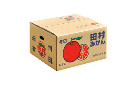 田村みかん　秀品5キロ　サイズおまかせ/紀伊国屋文左衛門本舗　◆2024年11月下旬～2025年1月中旬頃に発送予定(お届け日指定不可)＜予約受付＞【kstb301A】