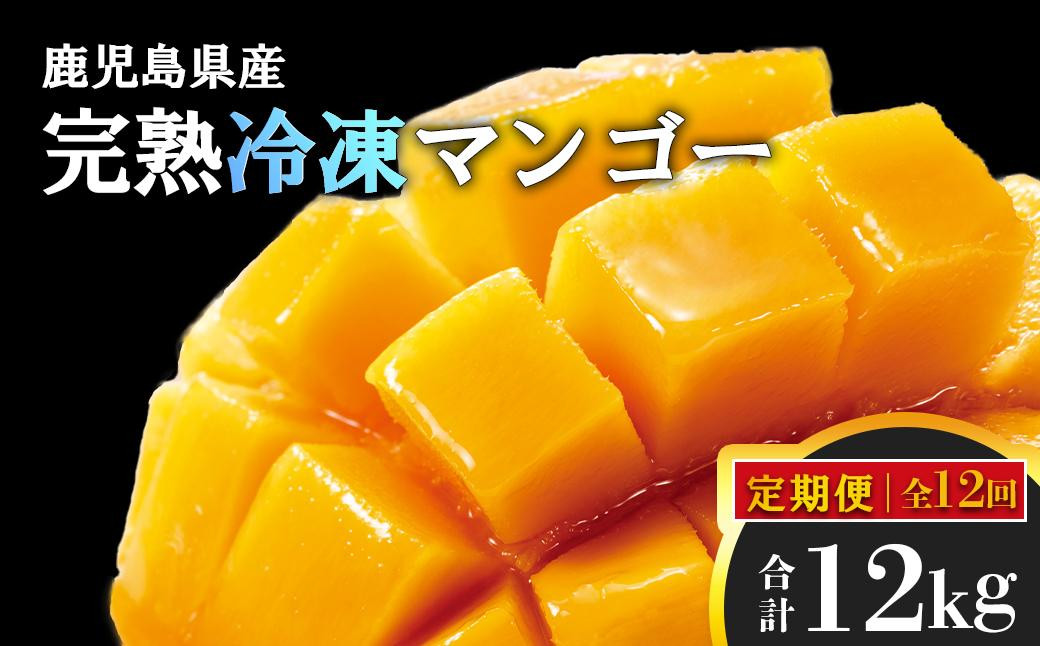 
＜定期便・全12回＞鹿児島県産！結いの街！完熟まるごと冷凍マンゴー(1回のお届け1kg・2～3個入り)
