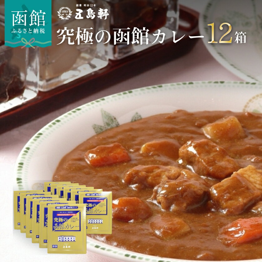 【ふるさと納税】究極の函館カレー 210g × 12箱 セット 創業明治12年 五島軒 レトルトカレー ポークカレー 中辛 北海道SPFポーク 使用 コク 老舗レストラン 伝統の味 カレー レトルト 本格派 ご当地カレー おかず 常温 函館市 北海道 お取り寄せ お取り寄せグルメ 送料無料