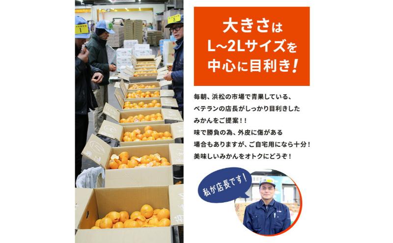 【訳あり】店長おまかせ浜松みかん 約2kg サイズL～2L ミカン 蜜柑 フルーツ  みかん ミカン 三ヶ日 みかん 蜜柑 糖度 静岡 浜松市