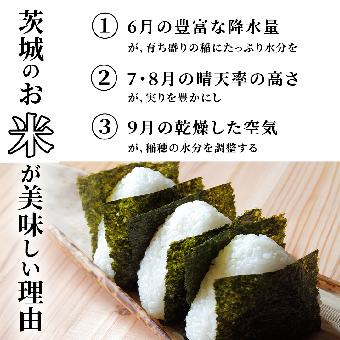 【5月下期出荷】品種おまかせ 15kg 茨城県つくばみらい市産 