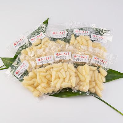 ふるさと納税 枕崎市 鹿児島県産塩らっきょう1.4kg (140g×10パック) A3-284 |  | 01