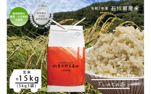 
                  《令和7年産》【お米番付優秀賞受賞農家】日本一粒の大きいお米『いのちの壱』玄米15kg
                