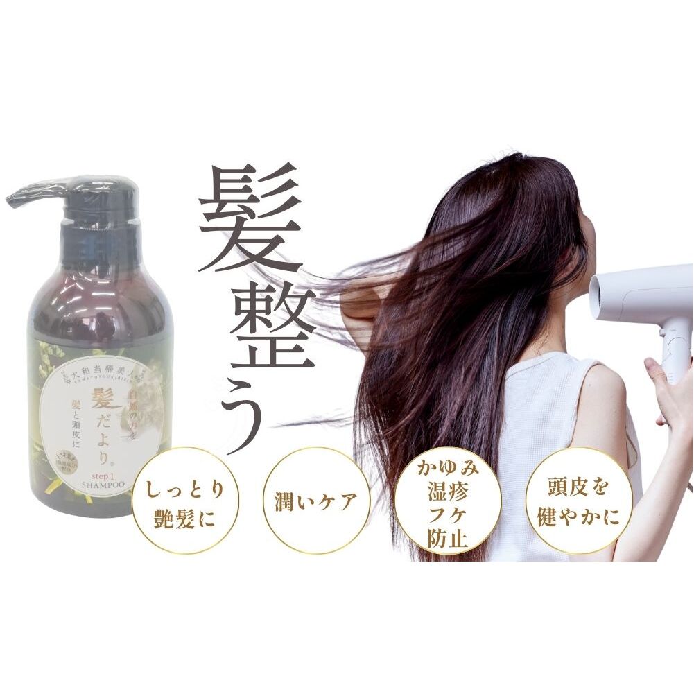 【定期便6回】大和当帰美人 髪だより EXTEシャンプー 詰め替え用 1000ml ／ふるさと納税 エクステ 大和当帰  ボトル メンズ 大容量 いい香り髪の美容液 髪整う 自然の力 頭皮 奈良県 宇