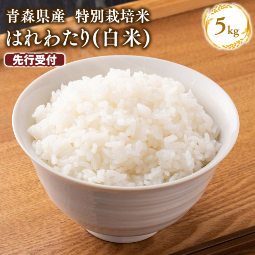 ≪令和8年産 先行予約≫1月上旬よりお届け! 　特別栽培米 はれわたり白米5kg【青森県 平川市】先行予約 米 お米 精米 青森県産 産地直送 おにぎり 朝ご飯 冷めてもおいしい ご飯  コメ こめ 白米 ごはん ブランド米 特A 特A米 お取り寄せ グルメ