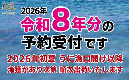 ＼水揚げ次第順次出荷／北海道 江差前浜産 生うに 200g（100g×2パック）【無添加・みょうばん不使用】令和8年　江差産天然キタムラサキウニ　日本海熊石産海洋深層水　塩水ウニ　素材を生かした自然の