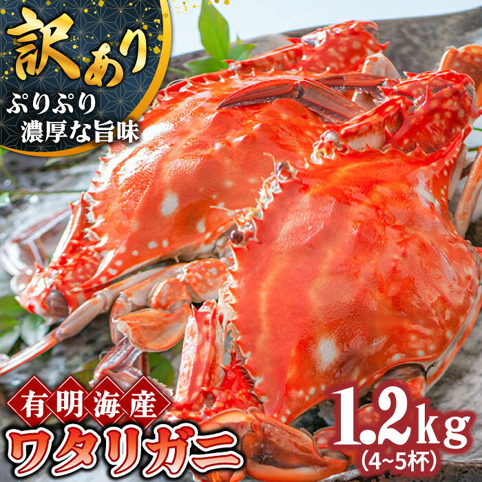 【ふるさと納税】【2027年7月～発送】【訳あり】数量限定 有明海のワタリガニ 約1.2kg（4～5匹） / かに カニ 蟹 kani ボイル カニ爪 ワタリガニ わたりがに 渡り蟹 カニしゃぶ ほぐし身 かにみそ 冷凍 / 南島原市 / 長栄丸水産 [SFM001]