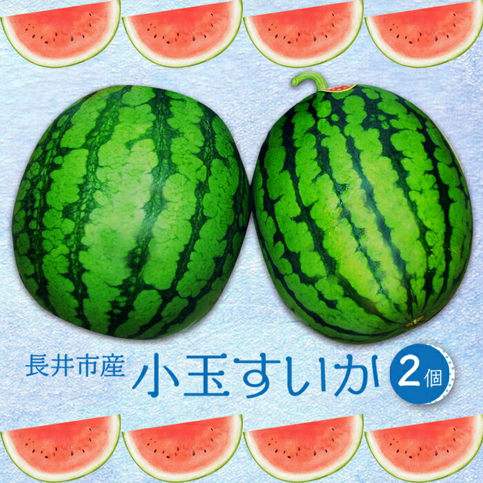 【ふるさと納税】【2025年7月〜8月発送分先行受付】小玉すいか（長井市産）約1.5〜3kg×2玉_H053(R7)