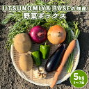 【ふるさと納税】＼レビューキャンペーン／UTSUNOMIYA BASEの畑産野菜ボックス 5kg
