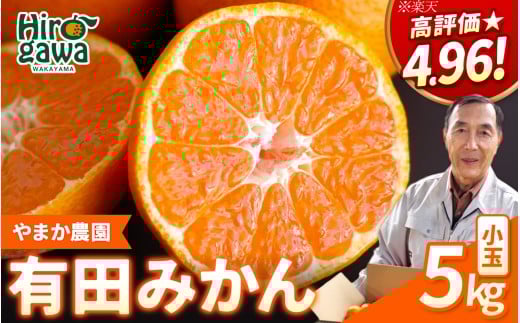 有田 みかん 小玉 5kg / 温州みかん 有田みかん 甘い 小粒 和歌山 柑橘 ※2026年12月上旬〜1月中旬に順次発送【ymk004-5-sA】