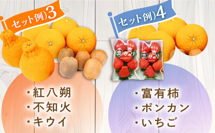 【12回 定期便】季節の果物 詰め合わせ フルーツセット 旬の果物をお任せで2〜3品目お届け （2〜3品目×12回） / 果物 セット 南島原市 / 吉岡青果 [SCZ014]