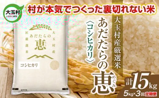 米 大玉村産厳選米「あだたらの恵」（品種：コシヒカリ） 計15kg 《 令和7年産  》 定期便 ( 全3回 × 5kg ) ｜ 福島 大玉村 お米 米作り こしひかり 令和7年 精米 白米 こめ コメ ご飯 送料無料 大玉村農業振興公社 ｜ on-ak-5kg-t3-r7