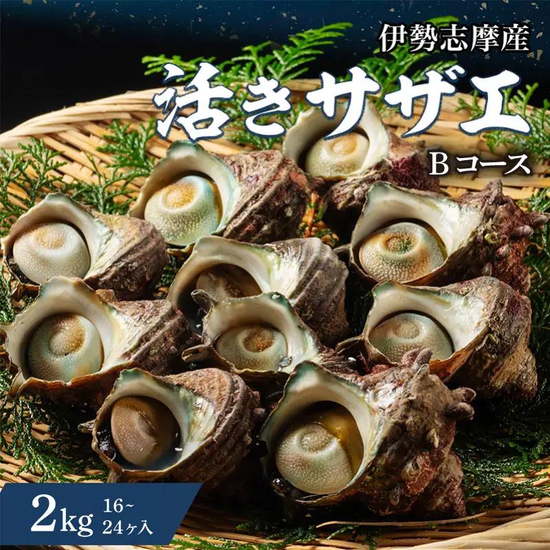 活きサザエ Bコース 2kg（16～24ヶ入り）山金商店 サザエ