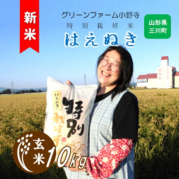 【ふるさと納税】【玄米】グリーンファーム小野寺の特別栽培米はえぬき10kg