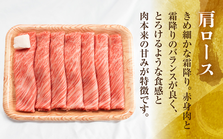 A5等級 飛騨牛 肩ロース すき焼き しゃぶしゃぶ 500g すき焼き [S546]