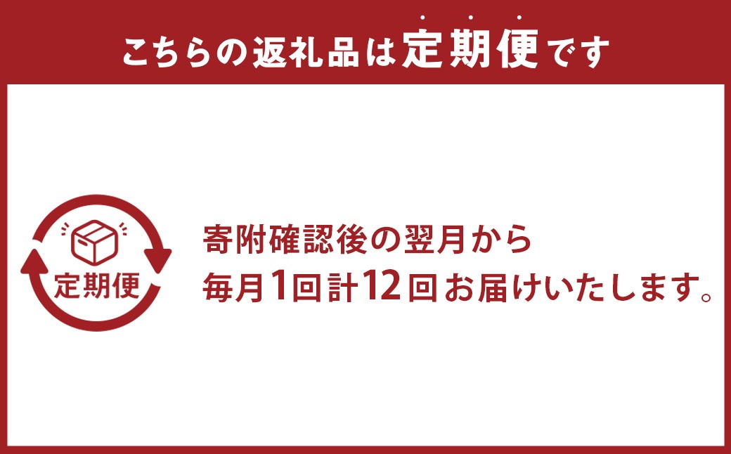 【全12回定期便】 おまかせ フラワーアレンジメント【S】 花 お花 はな 生花 Flower 長崎