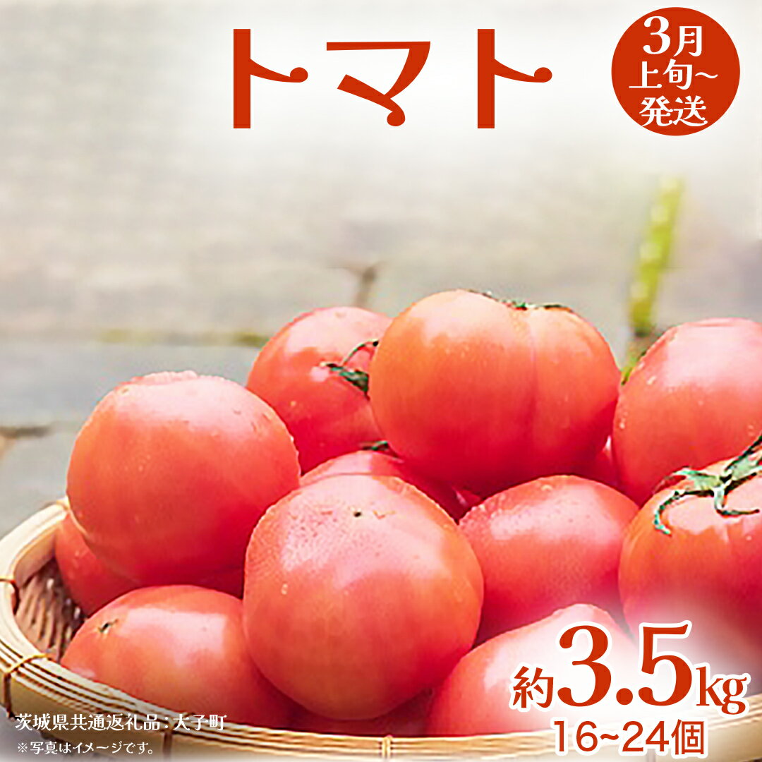 【ふるさと納税】トマト 約3.5kg (16～24個)【2026年3月上旬発送開始】(茨城県共通返礼品：大子町) とまと 野菜 やさい