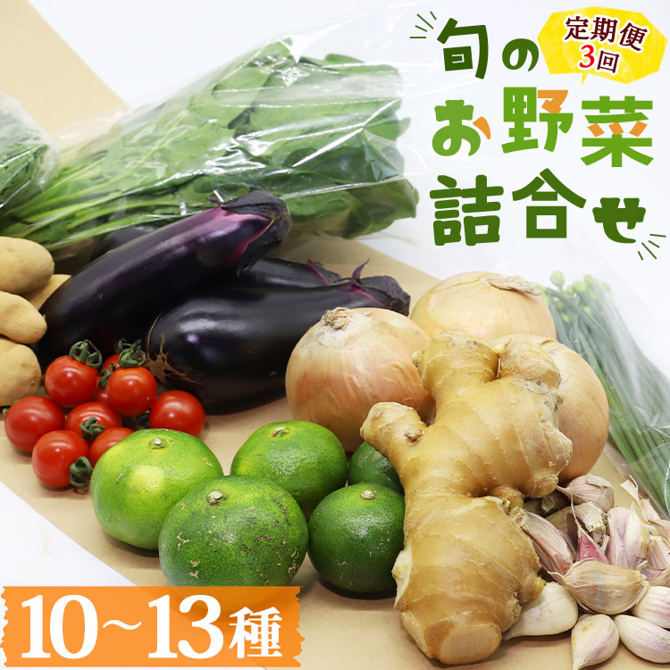 プライム株式会社 定期便3回コース 香南市産 旬のお野菜詰合せ(10から13品目) - 送料無料 10から13種類 やさい 季節の野菜 季節品 新鮮 お楽しみ おたのしみ お任せ おまかせ 詰め合わせ セット 土佐野菜 新鮮 しんせん 国産 しんせん 美味しい おいしい 料理 アレンジ サラダ 炒め物 煮物 鍋 夕食 夕飯 昼食 朝食 材料 瑞々しい みずみずしい 葉物 しゅんの野菜 おすそ分け ご自宅 ご家庭 高知県 香南市 冷蔵 Wpr-0008