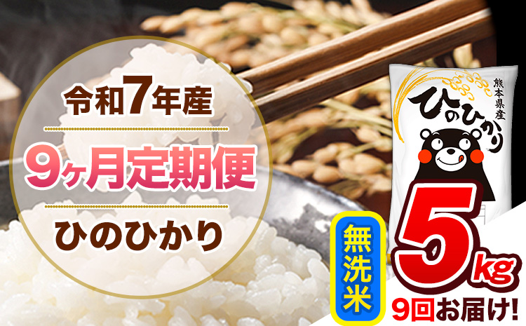 【9ヶ月定期便】令和7年産 無洗米 定期便 ひのひかり 5kg 《お申込み翌月から出荷》 熊本県産 ふるさと納税 精米 ひの 米 こめ ふるさとのうぜい ヒノヒカリ コメ 熊本米 ひのもり