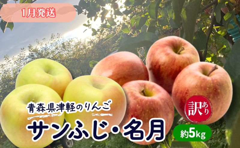 
【1月発送】【訳あり】青森県津軽のりんご「サンふじ・名月」約5kg【里いちみfarm】
