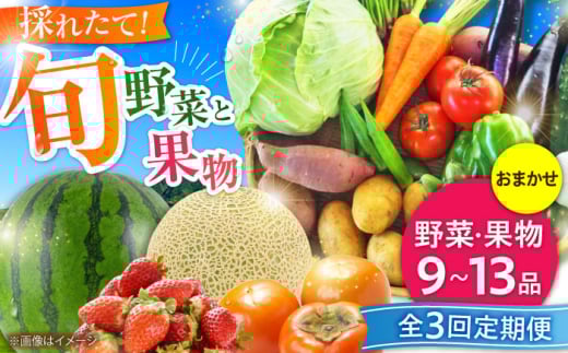 【全3回定期便】【数量限定】菊陽町特産品 「野菜・果物などの詰め合わせ」 / 新鮮 詰合せ フルーツ セット 旬 おまかせ にんじん ごぼう 直売所 やさい 野菜 くだもの 果実 熊本県 特産品 菊陽町【有限会社さんふれあ】 [BHAK007]