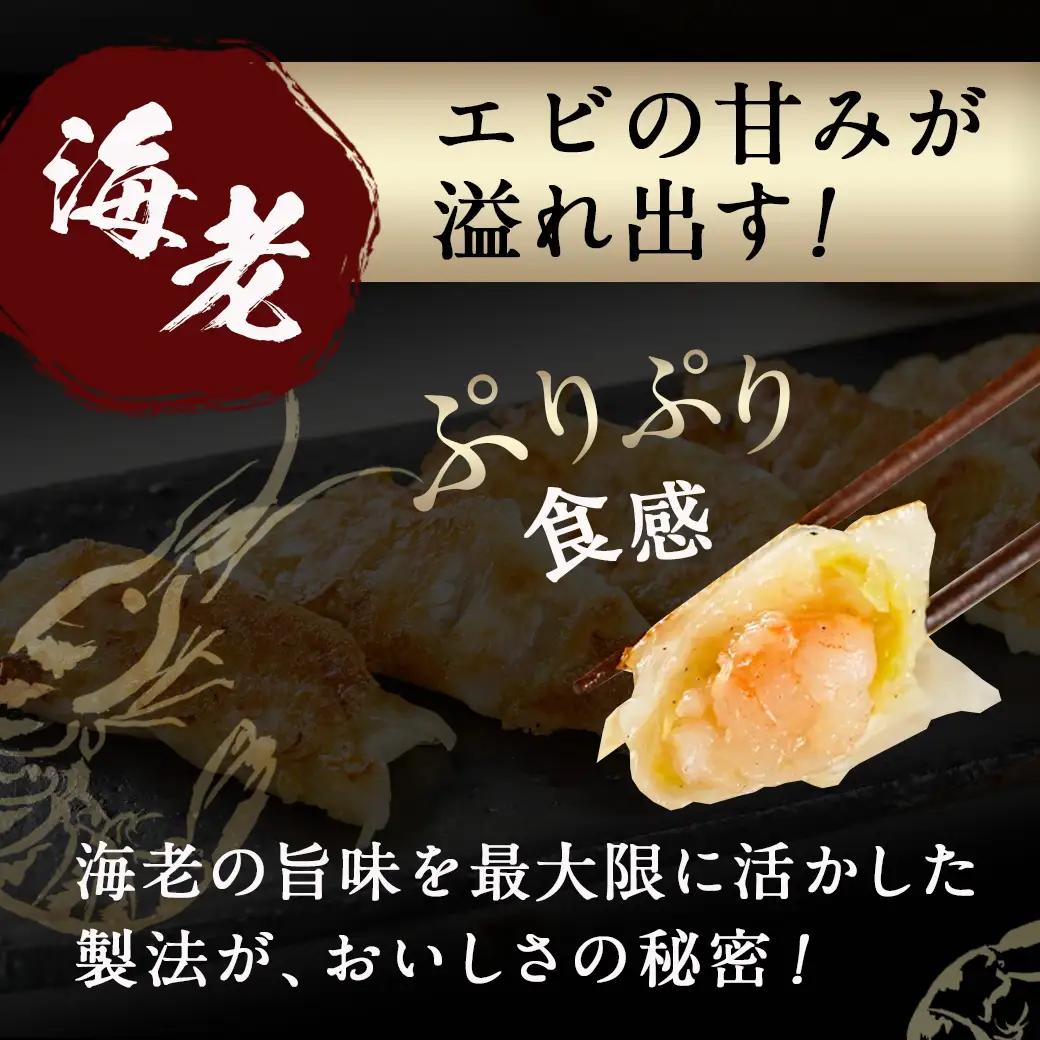 旨味が溢れ出す☆手づくり餃子(肉・海老)80個入り_AA-5403_(都城市) 宮崎餃子 餃子 肉 海老 80個 手づくり [AA-5403]