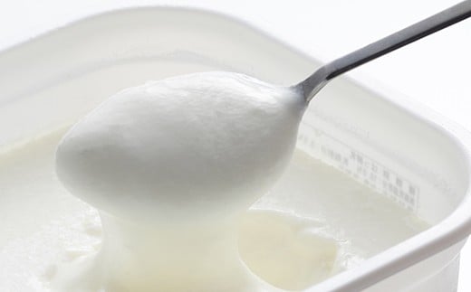 
            球磨の恵 ヨーグルト 砂糖不使用 1kg 4パック 合計4kg
          