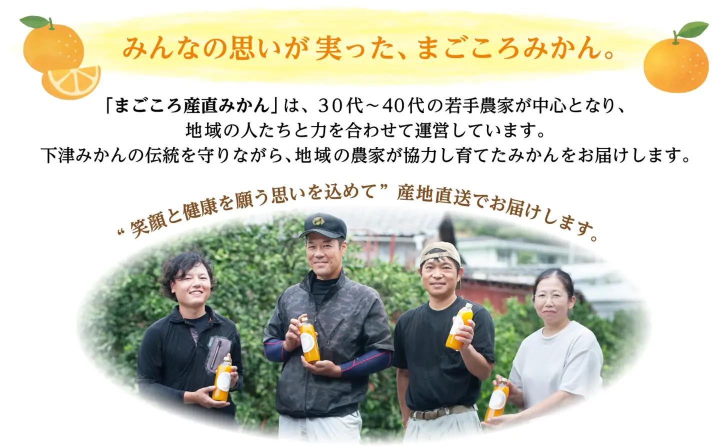 【先行予約】訳あり 海南市 極早生みかん 6.5kg フレッシュな旬の味わいをお届け!2026年10月より順次発送 日南早生みかんなど［Mg2］
