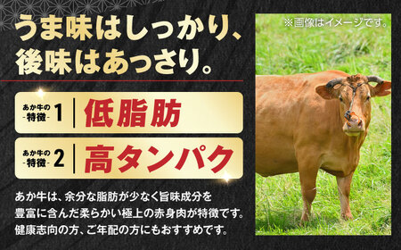 【年間25万個販売！】あか牛ハンバーグ 120g×6個 セット くまモンハンバーグ あか牛ハンバーグ 熊本あか牛 褐毛和種 肥後あか牛 冷凍ハンバーグ 国産あか牛ハンバーグ 牛肉ハンバーグ 大人気あか