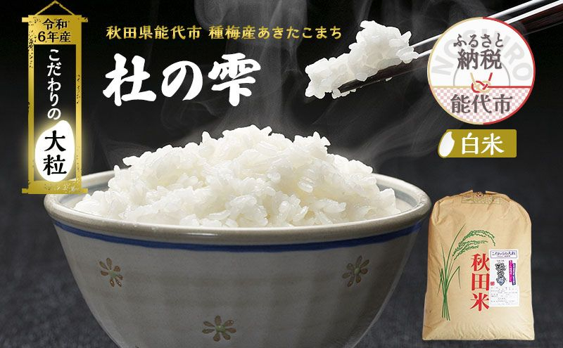 
            新米 米 お米 《定期便11ヶ月》【白米】秋田県産 あきたこまち あきた種梅産こまち 杜の雫 こだわりの大粒 26kg×11回 合計286kg
          