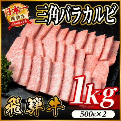 【ふるさと納税】飛騨牛 三角バラカルビ焼肉 1kg(500g×2)タレ付き BBQ用 小分け【配送不可地域：離島】【1746342】