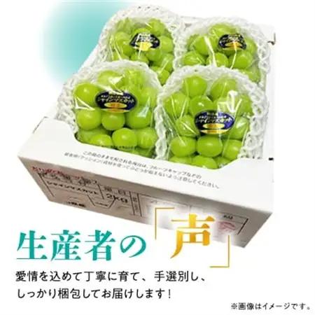 【2026年発送】訳あり!シャインマスカット晴王☆約2kg!8月中旬～順次発送【人気の岡山産ぶどう】【配送不可地域：離島】【1378275】