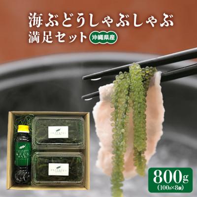 ふるさと納税 糸満市 海ぶどうしゃぶしゃぶ　満足セット