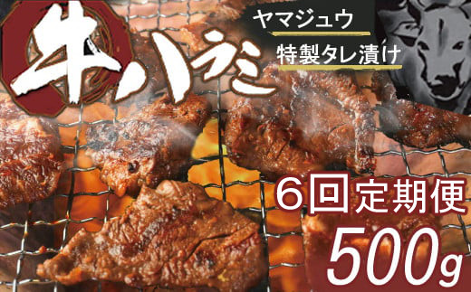 
ヤマジュウの特製タレ漬け！牛ハラミ肉５００ｇ【６回定期便】
