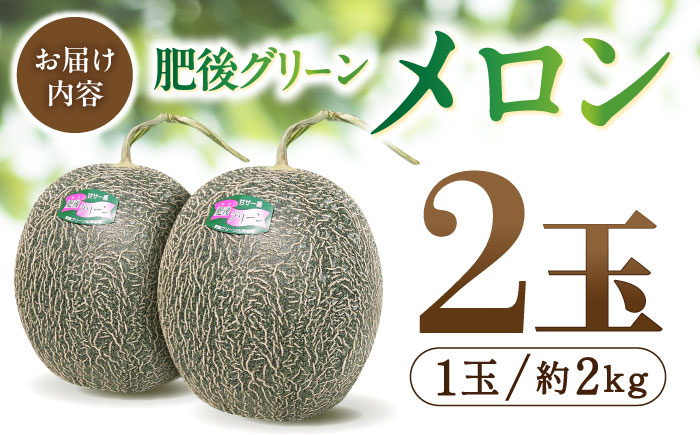 【数量限定】【先行予約】肥後グリーン メロン 2玉【合同会社 福福堂】 [ZCN003]
