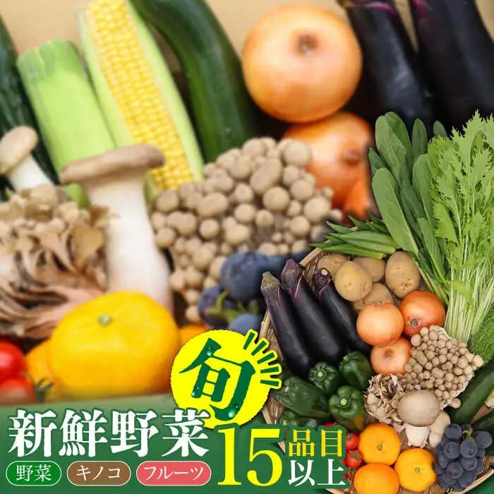 野菜 フルーツ キノコ 詰め合わせ 15品目以上 [SCZ001] ｜野菜セット