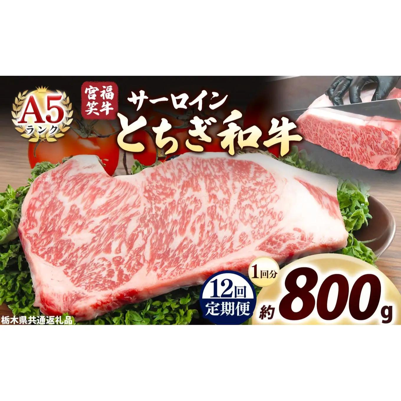 [定期便12回]宮福笑牛(とちぎ和牛) A5 サーロインステーキ 200g×4枚｜数量限定 黒毛 和牛 牛肉 国産牛 国産 ブランド牛 お肉 切り落とし サシ 霜降り 甘い ステーキ すき焼き しゃぶしゃぶ 焼肉 切落し 上品 アレンジ 美味しい 料理 主婦 とちぎ  栃木県 矢板市