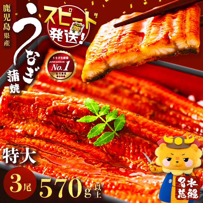 鹿児島県産うなぎ蒲焼 名水慈鰻 特上3尾(1尾190g以上)＜計570g以上＞　うなぎ 鰻 ウナギ 3尾 国産 蒲焼 かばやき 冷凍 真空 真空パック 無頭 うな重 ひつまぶし タレ 山椒 a9-058