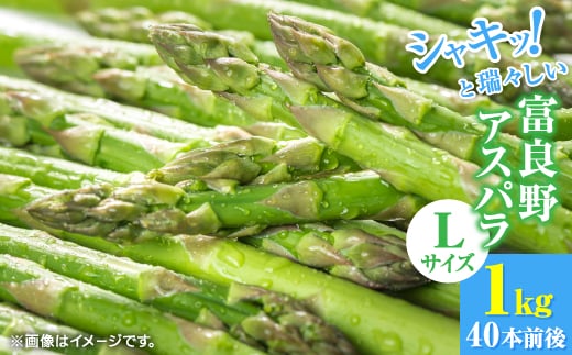 
                  ＜2027年発送先行受付＞北海道富良野産アスパラ　L　1kg40本前後【1710879】
                