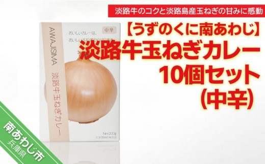 化学調味料不使用【淡路牛玉ねぎカレー】（中辛）10個セット