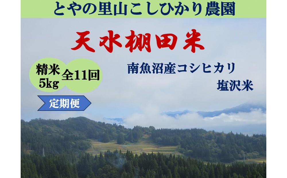 
                  令和8年産米 定期便【天水棚田米】特別栽培米雪蔵熟成塩沢産コシヒカリ精米5kg11回「とやの里山継承プロジェクト」【定期便 銘柄米 精米 こしひかり コシヒカリ 魚沼産 新潟米】【2026年10月下旬より順次発送予定】
                