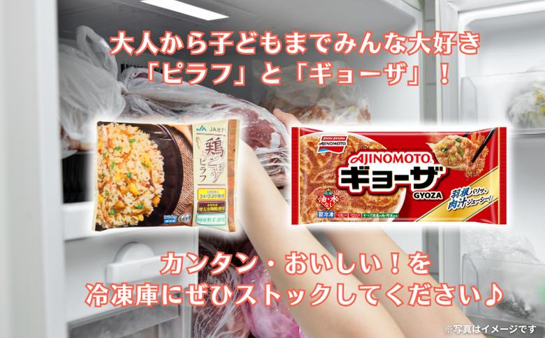 人気返礼品コラボセット AJINOMOTOギョーザ・JAさがオリジナル鶏ごぼうピラフ（各10袋） ぎょうざ 120個 ピラフ 250g×10袋 さがびより使用 味の素 ＪＡフーズさが 冷凍食品 餃子 