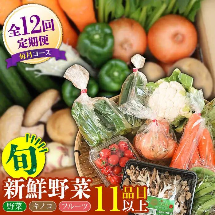【12回定期便】野菜定期便11品目 [SCZ007]